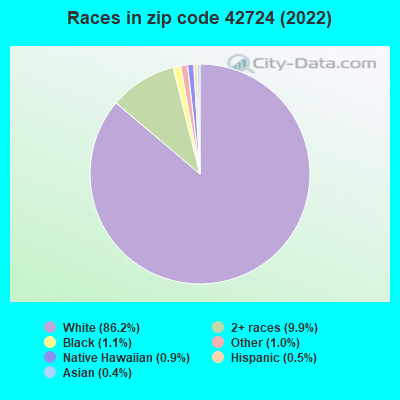 Races in zip code 42724 (2022)