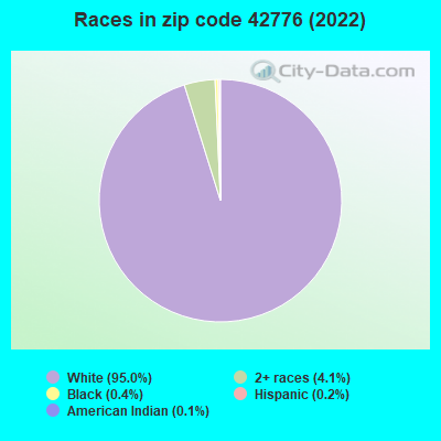 Races in zip code 42776 (2022)