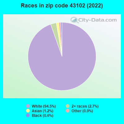 Races in zip code 43102 (2022)