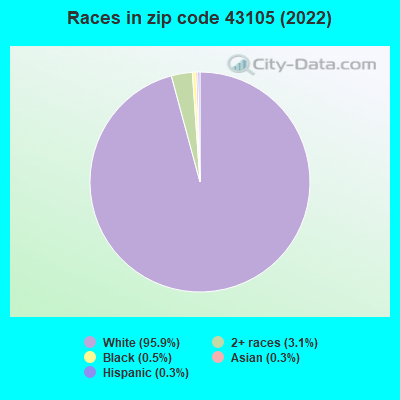 Races in zip code 43105 (2022)