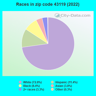 Races in zip code 43119 (2022)