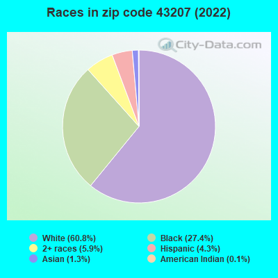 Races in zip code 43207 (2022)