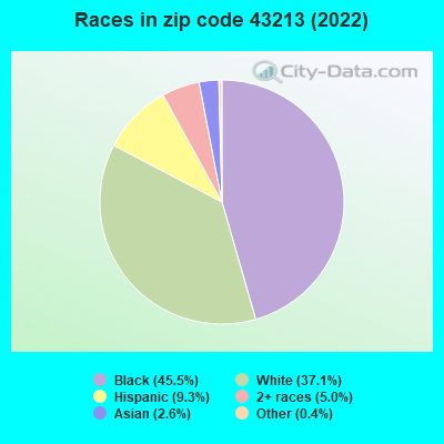 Races in zip code 43213 (2022)
