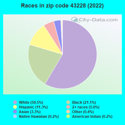 Races in zip code 43228 (2022)