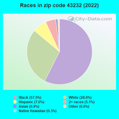 Races in zip code 43232 (2022)
