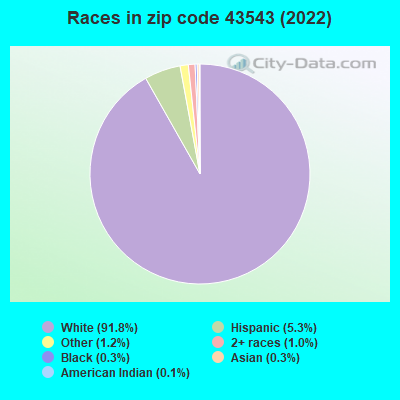 Races in zip code 43543 (2022)