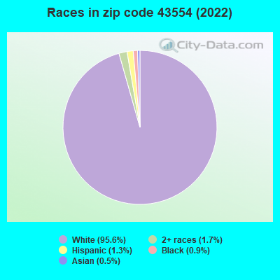 Races in zip code 43554 (2022)