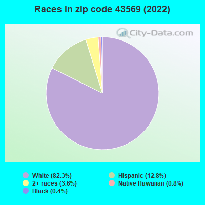 Races in zip code 43569 (2022)