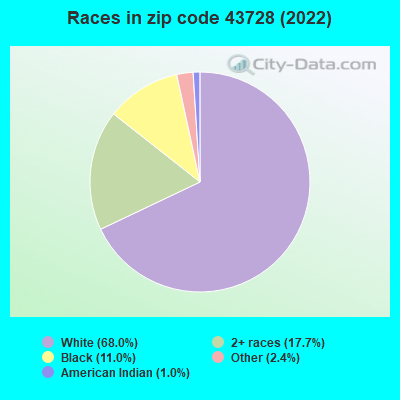 Races in zip code 43728 (2022)