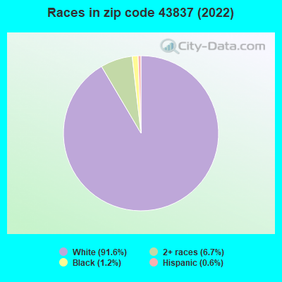 Races in zip code 43837 (2022)