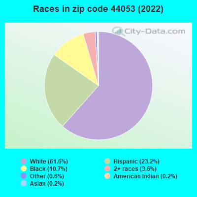 Races in zip code 44053 (2022)