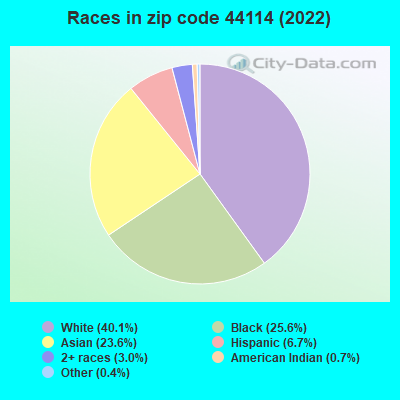 Races in zip code 44114 (2022)