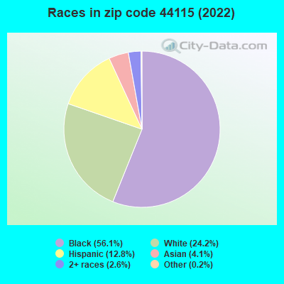 Races in zip code 44115 (2022)