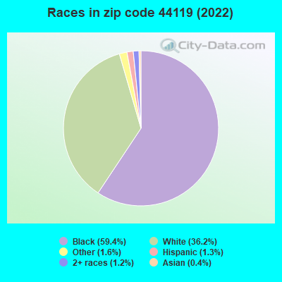 Races in zip code 44119 (2022)
