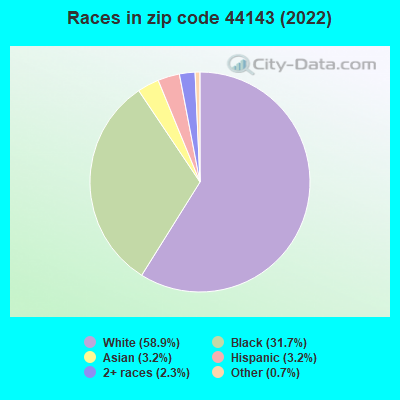 Races in zip code 44143 (2022)