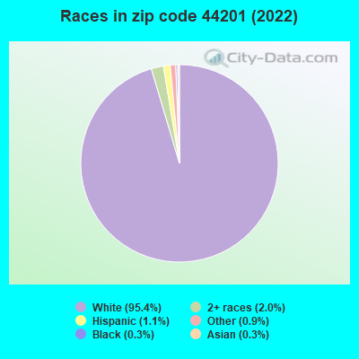 Races in zip code 44201 (2022)