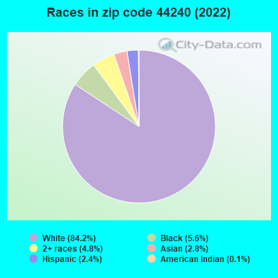 Races in zip code 44240 (2022)