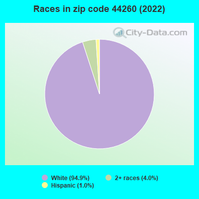 Races in zip code 44260 (2022)