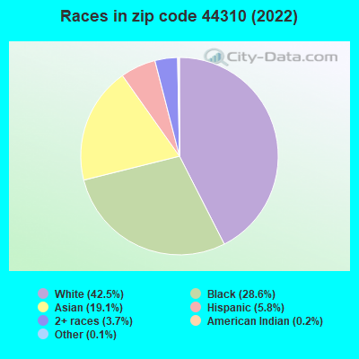Races in zip code 44310 (2022)