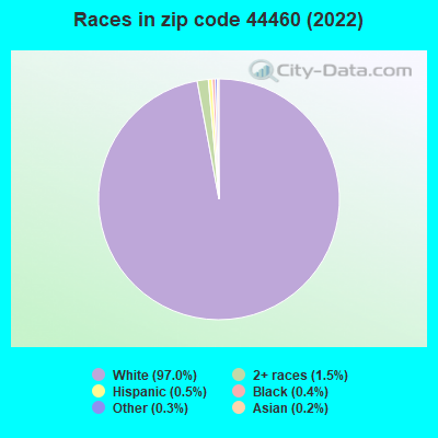 Races in zip code 44460 (2022)