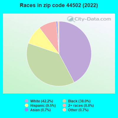 Races in zip code 44502 (2022)