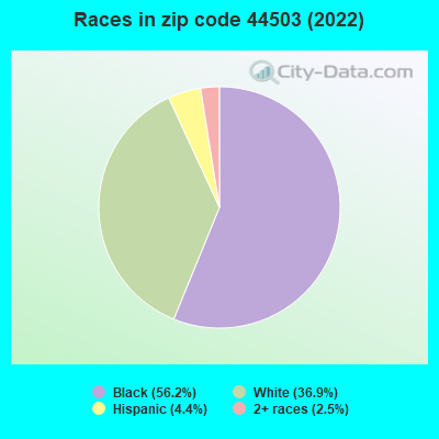 Races in zip code 44503 (2022)