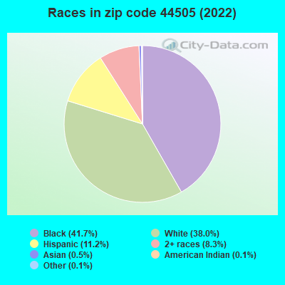 Races in zip code 44505 (2022)
