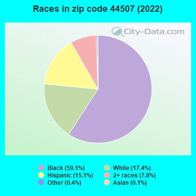 Races in zip code 44507 (2022)