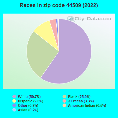 Races in zip code 44509 (2022)