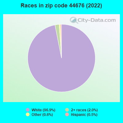 Races in zip code 44676 (2022)