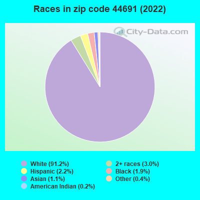 Races in zip code 44691 (2022)