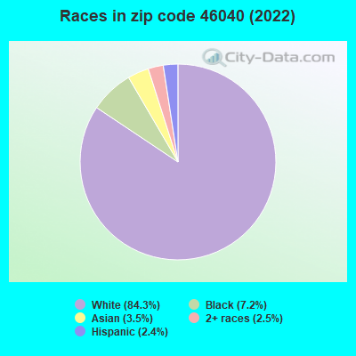 Races in zip code 46040 (2022)