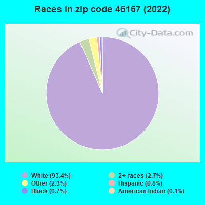 Races in zip code 46167 (2022)