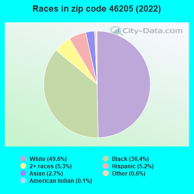 Races in zip code 46205 (2022)