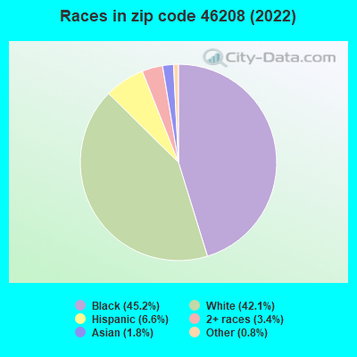 Races in zip code 46208 (2022)