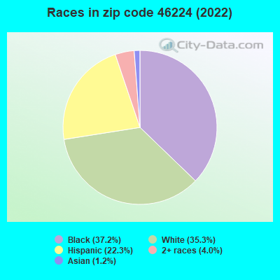 Races in zip code 46224 (2022)