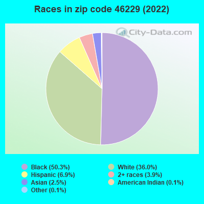 Races in zip code 46229 (2022)