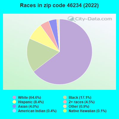 Races in zip code 46234 (2022)