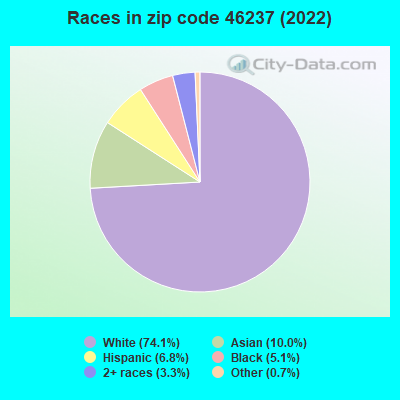 Races in zip code 46237 (2022)