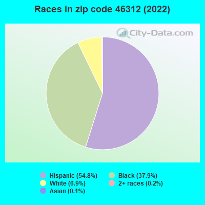 Races in zip code 46312 (2022)