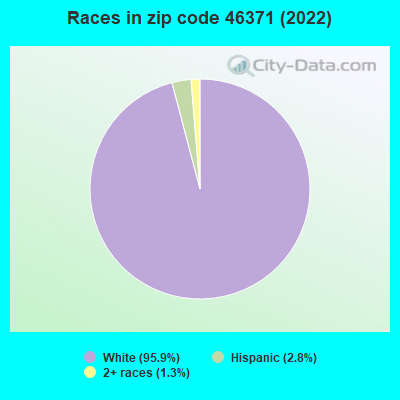 Races in zip code 46371 (2022)