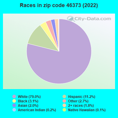 Races in zip code 46373 (2022)