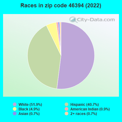 Races in zip code 46394 (2022)