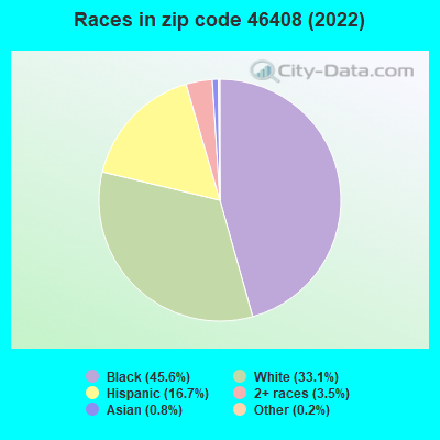 Races in zip code 46408 (2022)