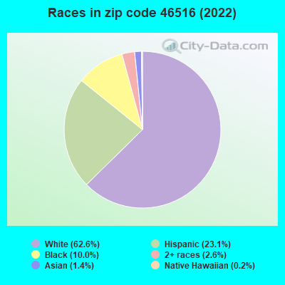 Races in zip code 46516 (2022)