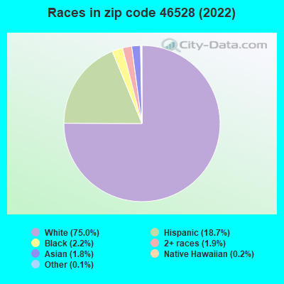 Races in zip code 46528 (2022)