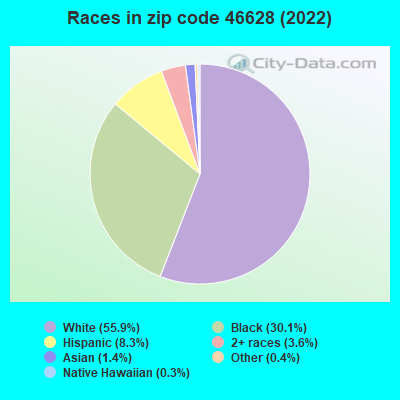 Races in zip code 46628 (2022)