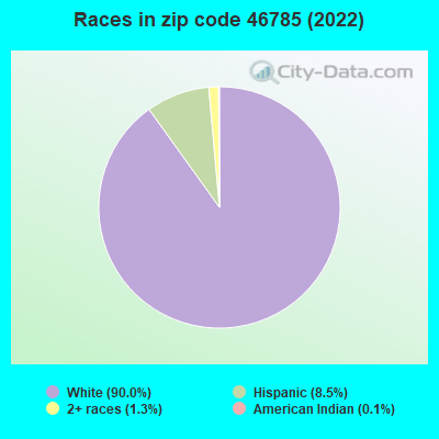 Races in zip code 46785 (2022)