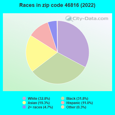 Races in zip code 46816 (2022)
