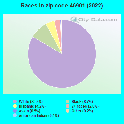 Races in zip code 46901 (2022)